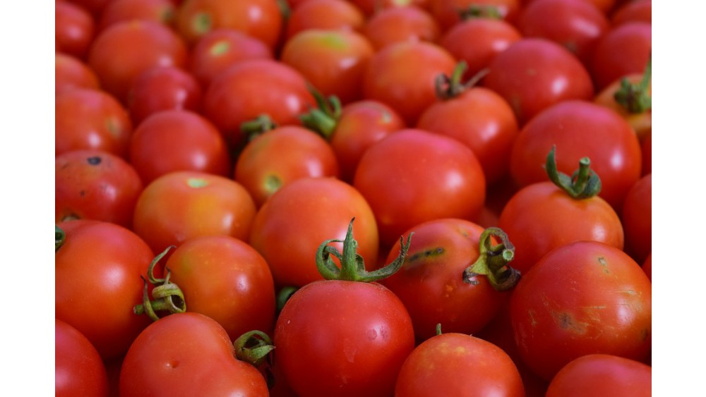 Czy codzienne spożywanie pomidorów może chronić przed rakiem skóry?