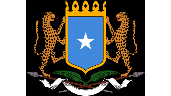 Somalia bez państwa – success story?