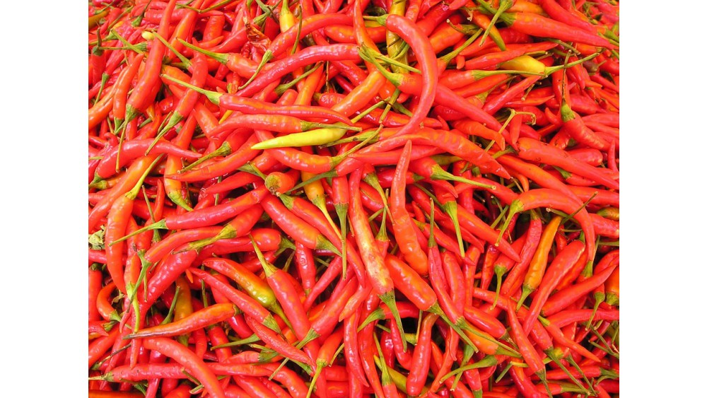 Chilli wydłuża życie