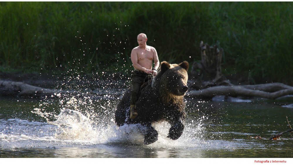 „Wygnieciona koszulka rosyjskiego niedźwiedzia”