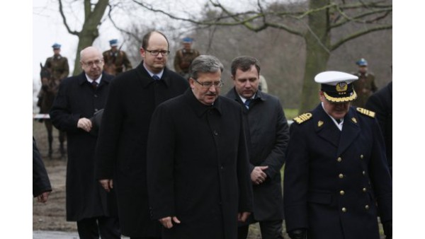 Budyń pogrążony (w bulu)