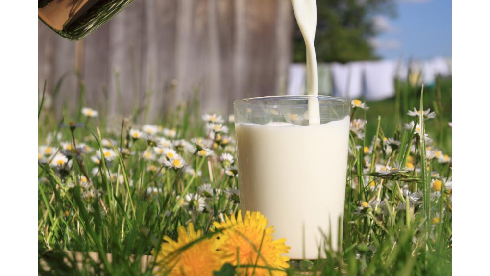 Naukowcy: Tłuste mleko nie tuczy dzieci