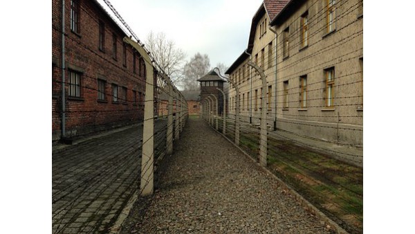 Polityka historyczna