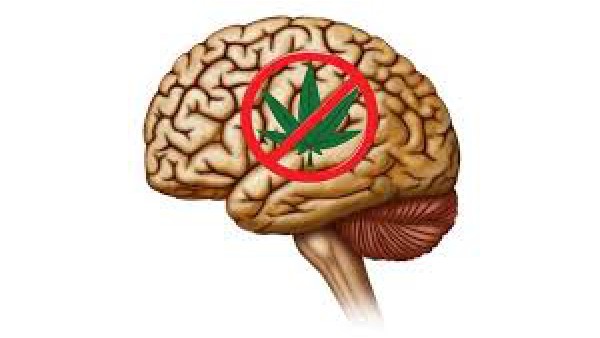 Marihuana rujnuje mózg i ciało. 